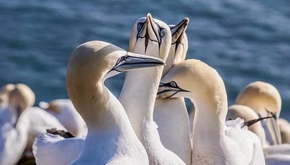 Process Lasso Pro v10.4.6.20 修改版