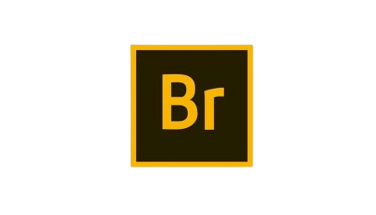 Bridge 2024 文件管理 安装教程详解