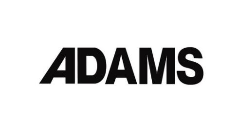 Adams 2020 安装教程