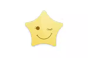 星愿浏览器 Twinkstar v10.8.2000.2507 便携版